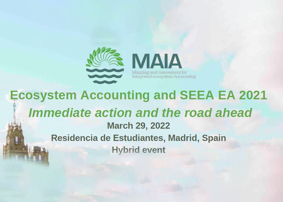 Workshop on Ecosystem Accounting and SEEA EA 2021 Immediate Action and the Road Ahead